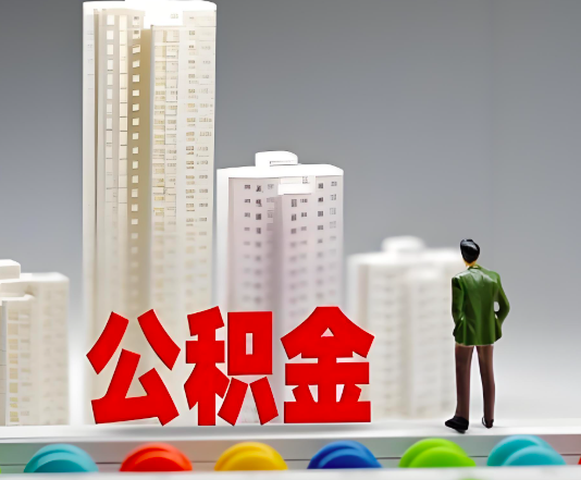 松原委托他人办理需要提供什么证件。